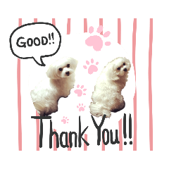 [LINEスタンプ] leokaマルチー