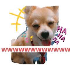 [LINEスタンプ] ぽめちーの日常2