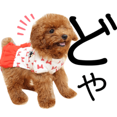 [LINEスタンプ] ほったんほったん