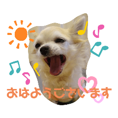 [LINEスタンプ] 君に出会えて良かった