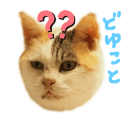 [LINEスタンプ] ご近所みぃちゃん日常スタンプ