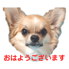[LINEスタンプ] マロ❤スタンプ2