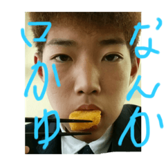 [LINEスタンプ] 鳥の巣双子