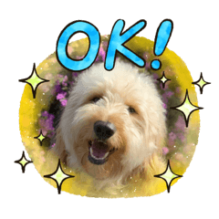 [LINEスタンプ] fluffy_dog brother