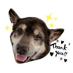 [LINEスタンプ] kuloしば