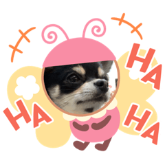 [LINEスタンプ] ハピハピスタンプ2