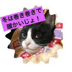[LINEスタンプ] さくら姫の優雅な日々＊冬ver.
