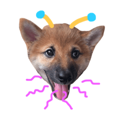 [LINEスタンプ] かわいいね〜〜