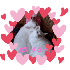 [LINEスタンプ] しろねこプー＆ピー