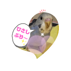 [LINEスタンプ] Pスタイル4