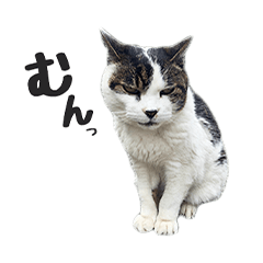 [LINEスタンプ] 野良の大福