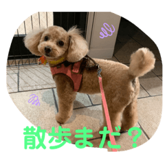 [LINEスタンプ] イヴとポムのスタンプ