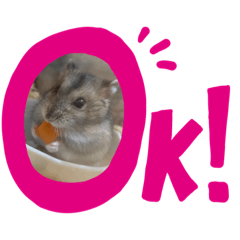 [LINEスタンプ] むぎとあんこ①