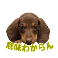 [LINEスタンプ] れもん時々、空