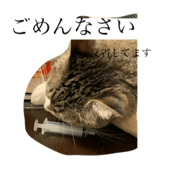 [LINEスタンプ] ちびみや1