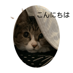 [LINEスタンプ] ちびみやパート5