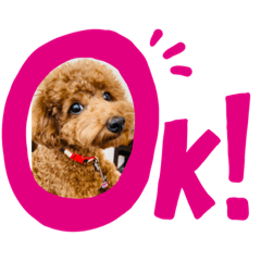 [LINEスタンプ] チャーミー スタンプ New