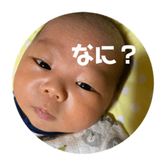 [LINEスタンプ] 暉生くん