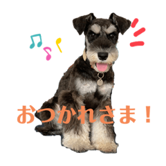 [LINEスタンプ] むらやま家のなかまたち