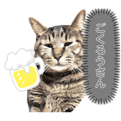 [LINEスタンプ] でぶっちーかんちゃん