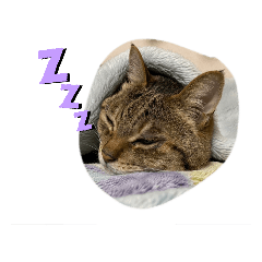 [LINEスタンプ] クウ＆モモ