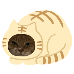 [LINEスタンプ] おはなでーす