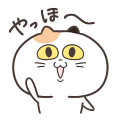 [LINEスタンプ] 365日にゃんたろー