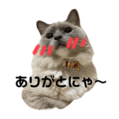 [LINEスタンプ] たいが と るり