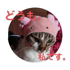 [LINEスタンプ] ちゃんまる。スタンプ2