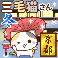 [LINEスタンプ] 京都の三毛猫さん【冬ver.】の画像（メイン）