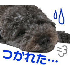 [LINEスタンプ] どんべえ日常