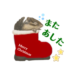[LINEスタンプ] ふゆがきた 2021