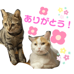 [LINEスタンプ] バズ＆メイ Part1