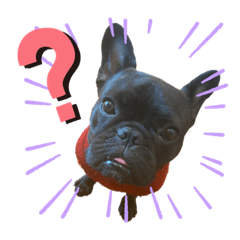[LINEスタンプ] フレブル こんぶ2
