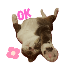 [LINEスタンプ] にゃんこのララスタンプ2