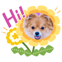 [LINEスタンプ] チャロすたんぷ2