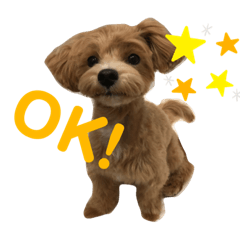 [LINEスタンプ] つなくんのすたんぷ