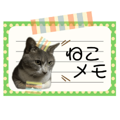 [LINEスタンプ] ねこメモの画像（メイン）