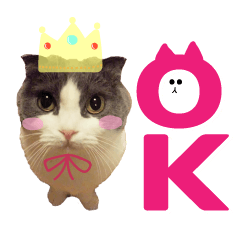 [LINEスタンプ] キキです。キキと申します。