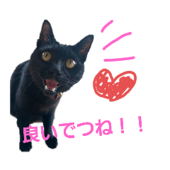 [LINEスタンプ] かんちゃんアンドぱっつん