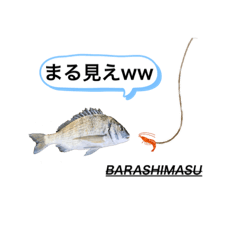 [LINEスタンプ] BARASHIMASUスタンプ(チヌ編)