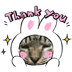 [LINEスタンプ] 我が家の半目のとらおくん