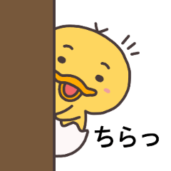 [LINEスタンプ] ひよこのぴよぺスタンプ