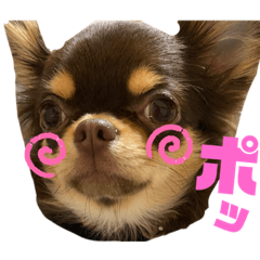 [LINEスタンプ] 笑子①