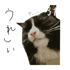 [LINEスタンプ] はなここたろう