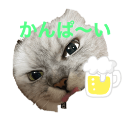 [LINEスタンプ] ぽこ赤ちゃん