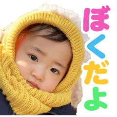 [LINEスタンプ] 毎日せいごくん1