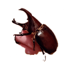 [LINEスタンプ] 落ち込み