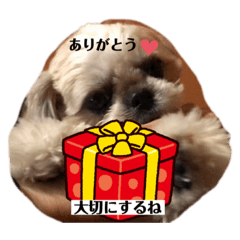 [LINEスタンプ] 日々まるちゃん18