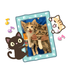 [LINEスタンプ] ドギーリーグの仲間達